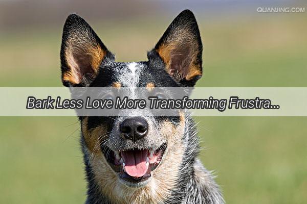 Bark Less Love More Transforming Frustration into Bonding with Your Furry Friend